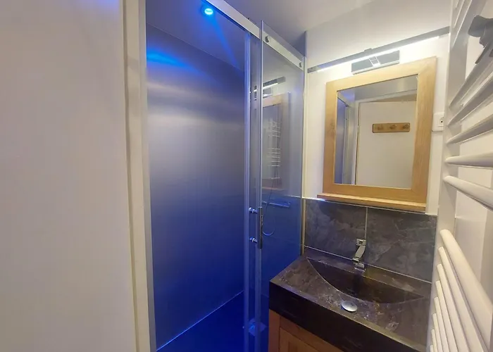 Renove Aux Deux Alpes, Animaux Acceptes - Fr-1-516-132 Apartment *