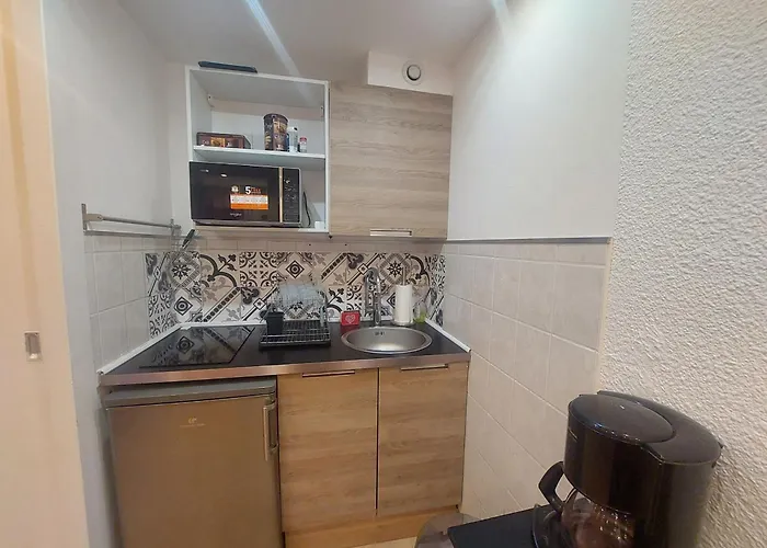 Renove Aux Deux Alpes, Animaux Acceptes - Fr-1-516-132 Apartment