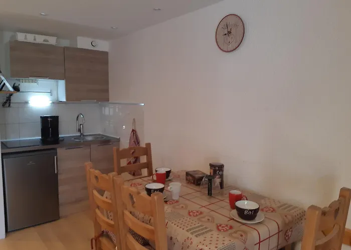 Renove Aux Deux Alpes, Animaux Acceptes - Fr-1-516-132 Apartment *