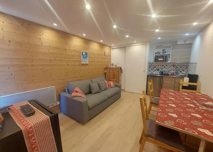 Renove Aux Deux Alpes, Animaux Acceptes - Fr-1-516-132 Apartment Les Deux Alpes